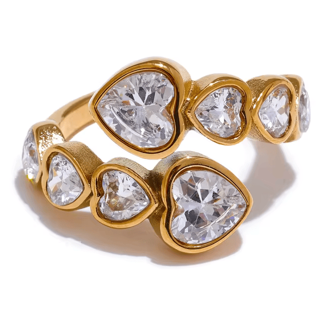 bague en acier inoxydable