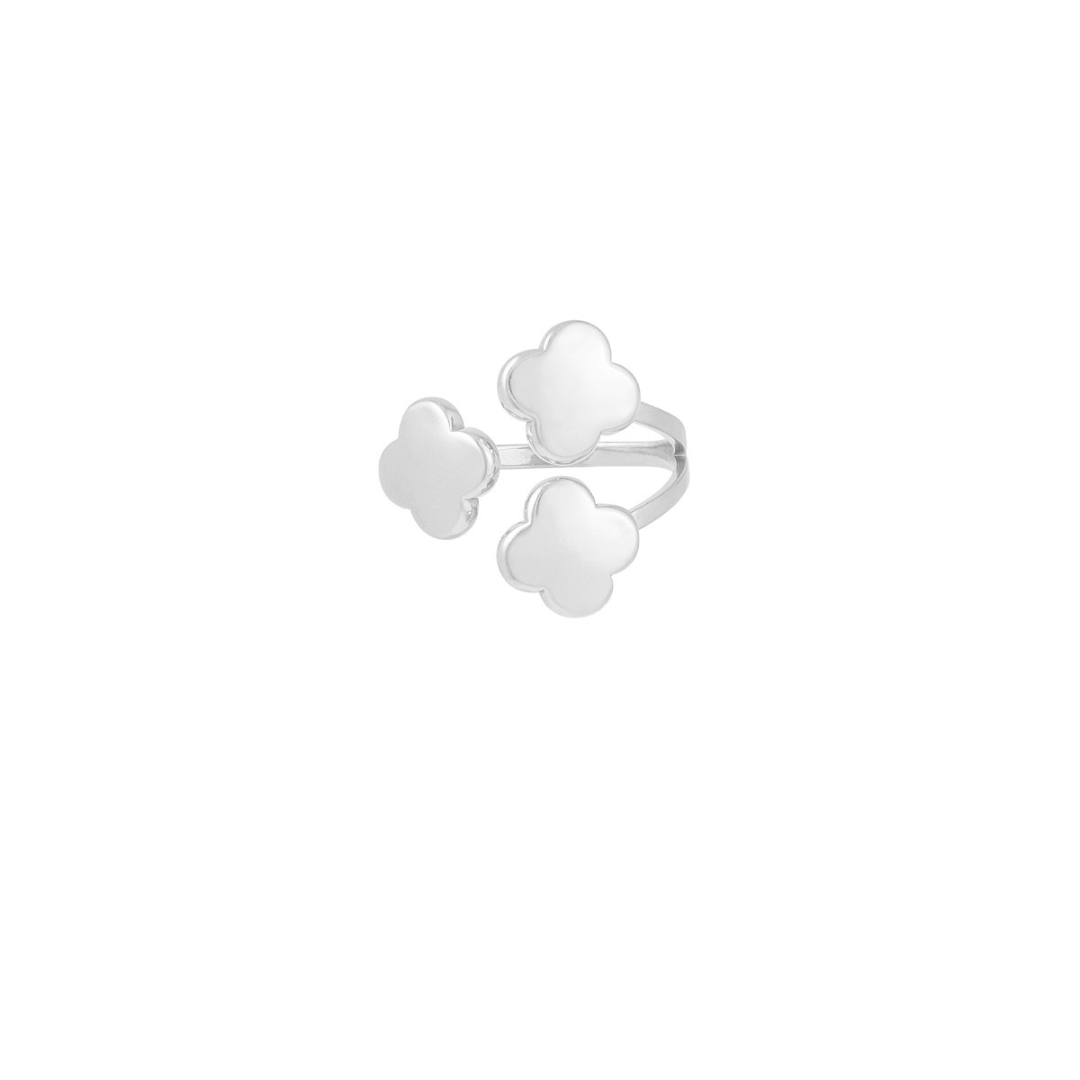 bague acier inoxydable