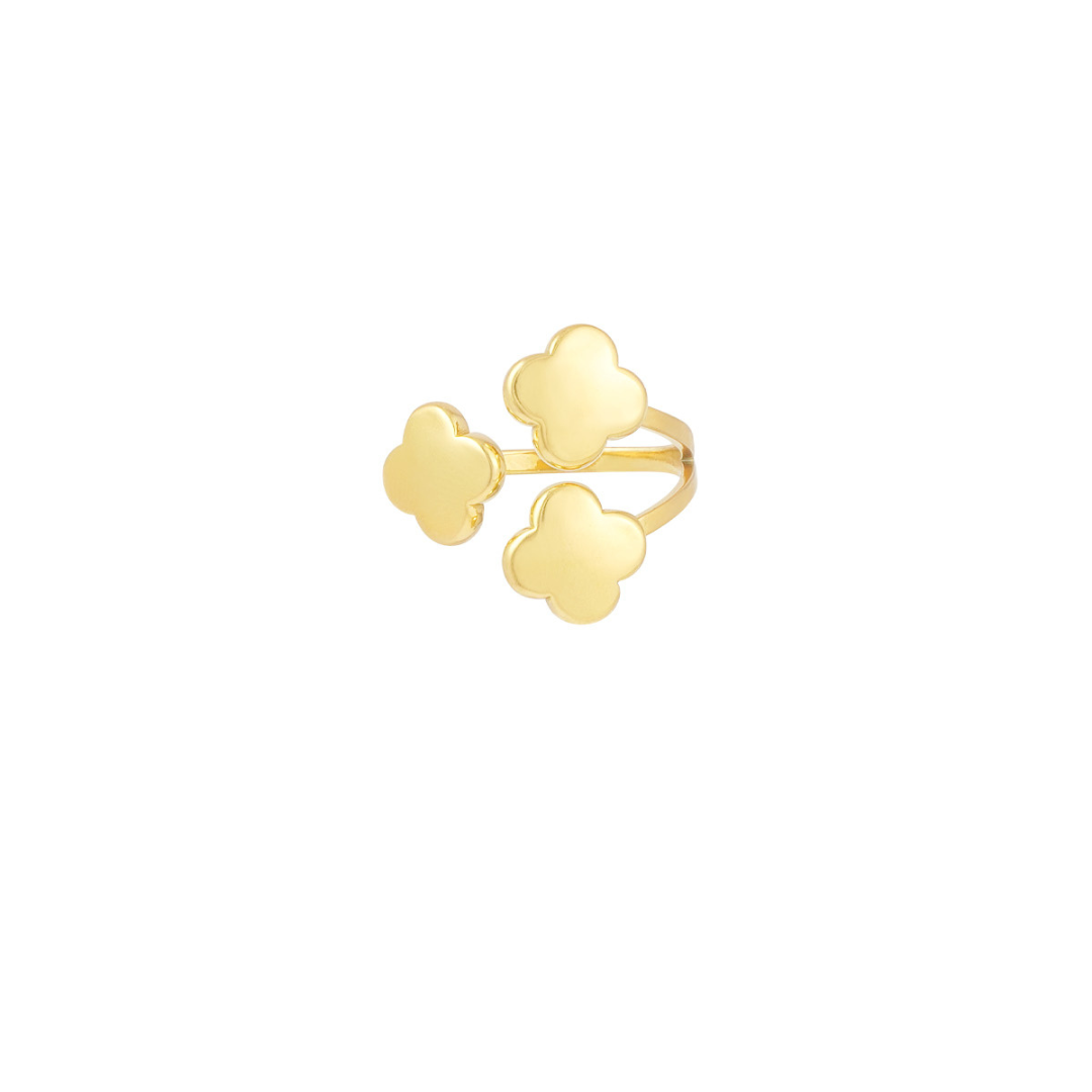 bague acier inoxydable