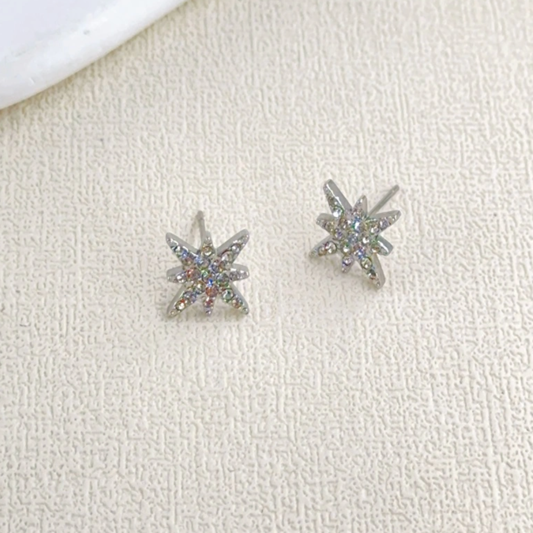 Boucles d'Oreilles en acier inoxydable