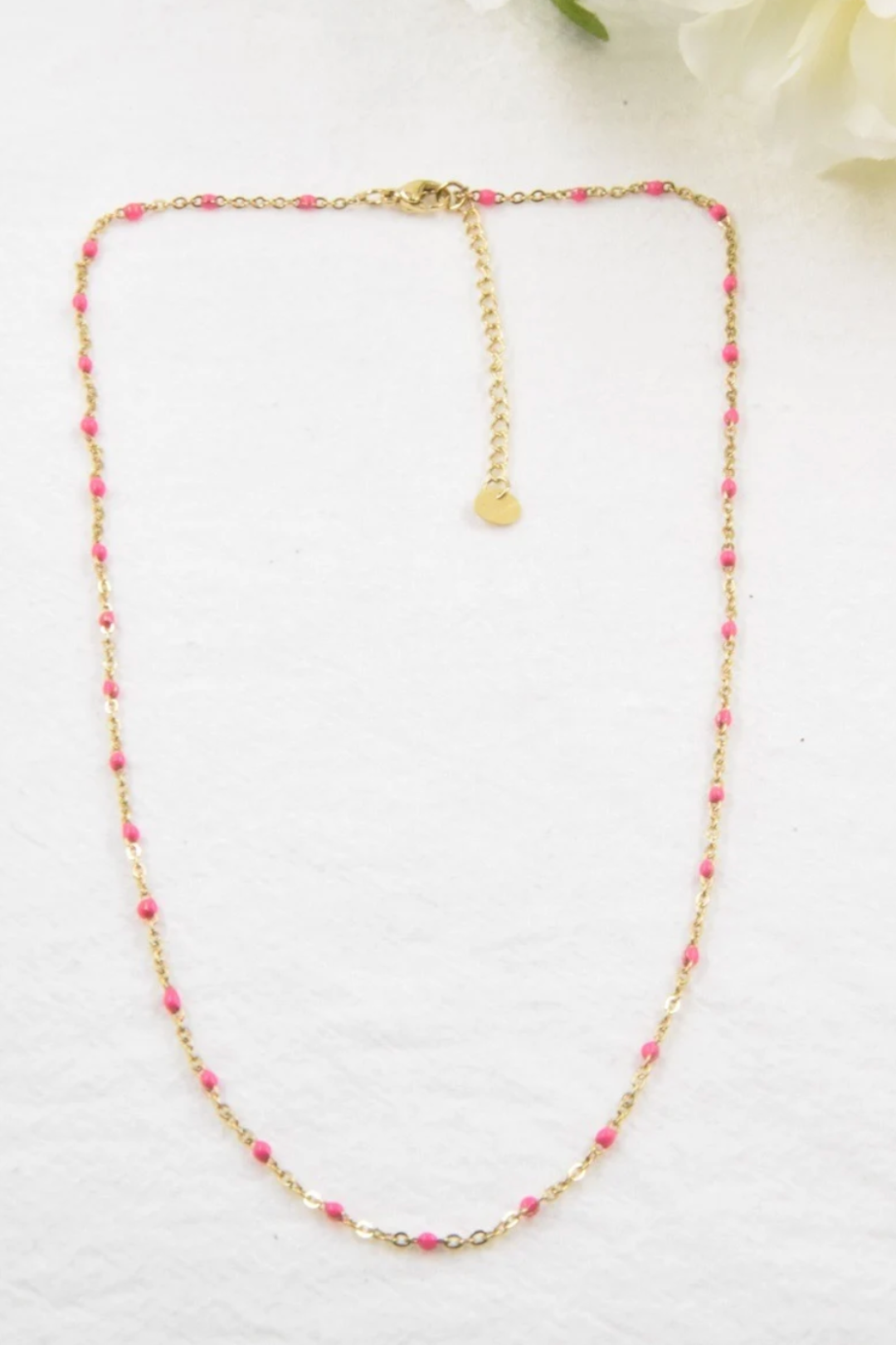 Collier ajustable en acier inoxydable