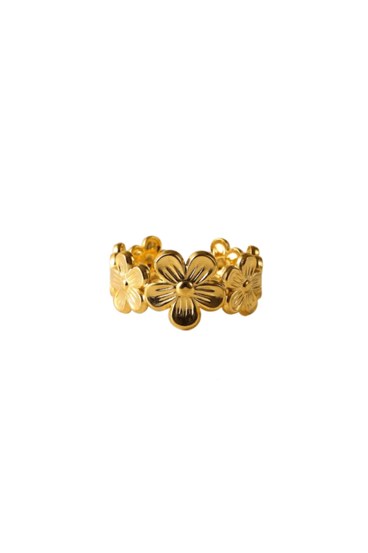 Bague Ajustable en Acier Inoxydable