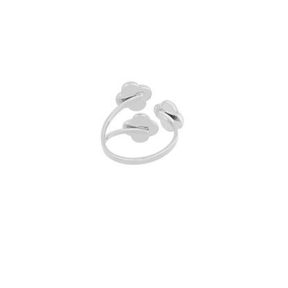 bague acier inoxydable