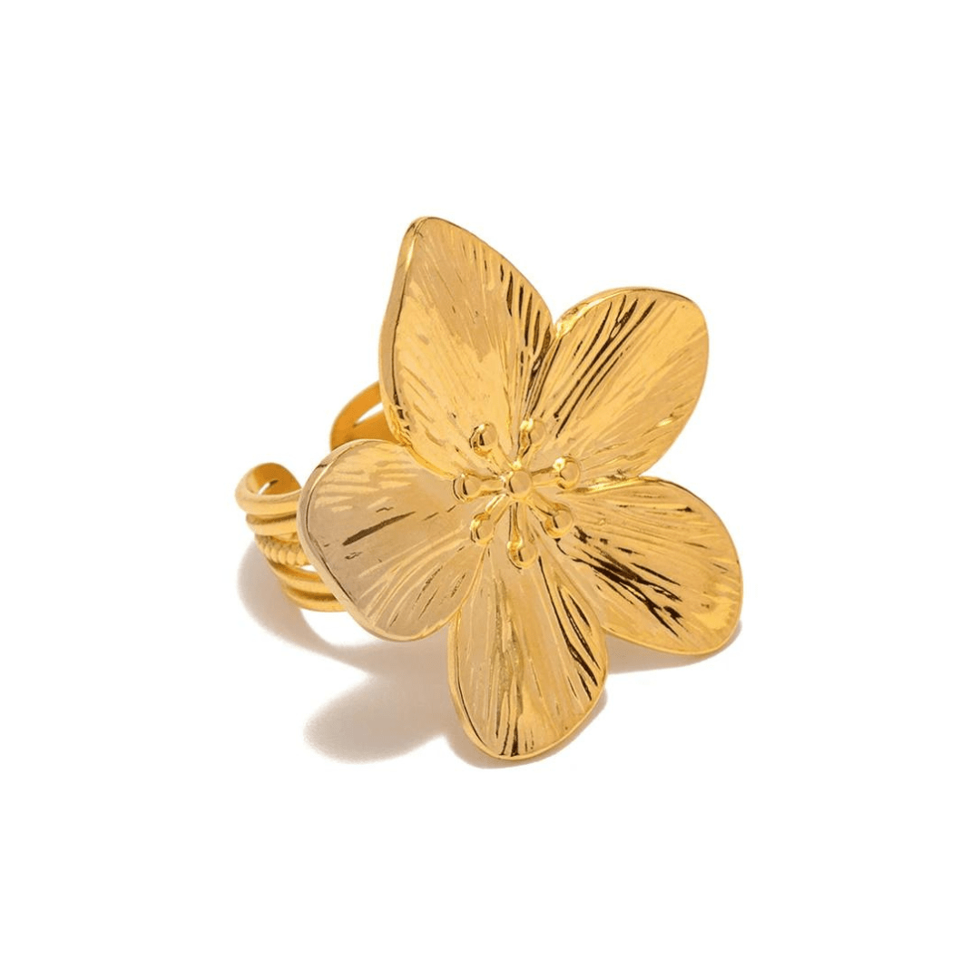 bague en acier inoxydable