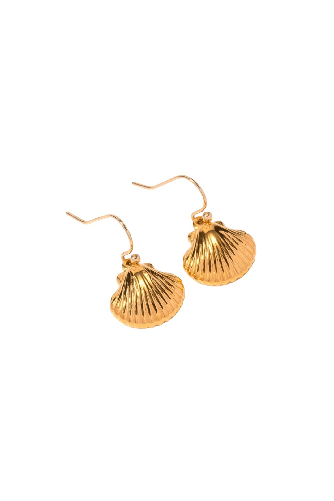 Boucles d'Oreilles Coquillages  - Bijoux Acier Inoxydable Élégants