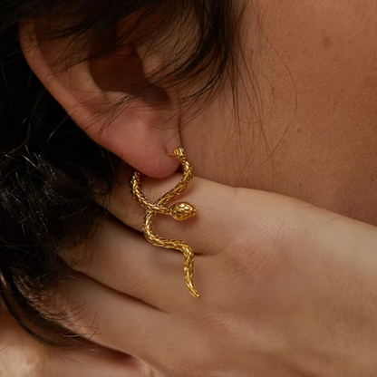 Boucles d’Oreilles Serpent en Acier Inoxydable