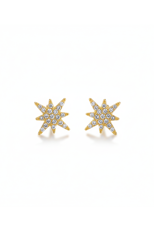 Boucles d'Oreilles en Acier Inoxydable Étoile Polaire