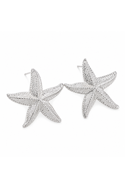 Boucles d'oreilles étoile de mer argenté