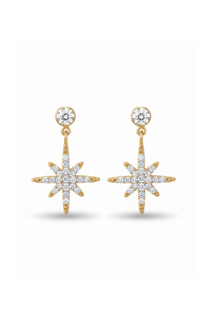 Boucles d’oreilles étoile scintillante en acier inoxydable