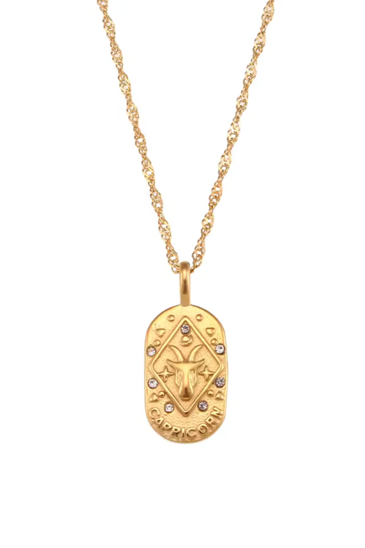 Collier Signe Capricorne en Acier Inoxydable
