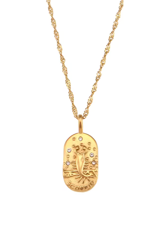 Collier Signe Scorpion en Acier Inoxydable