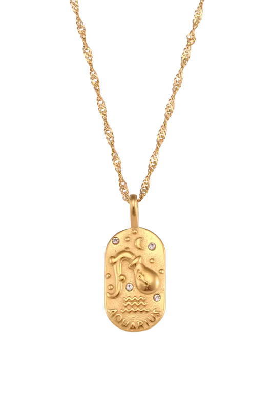 Collier Signe Verseau en Acier Inoxydable