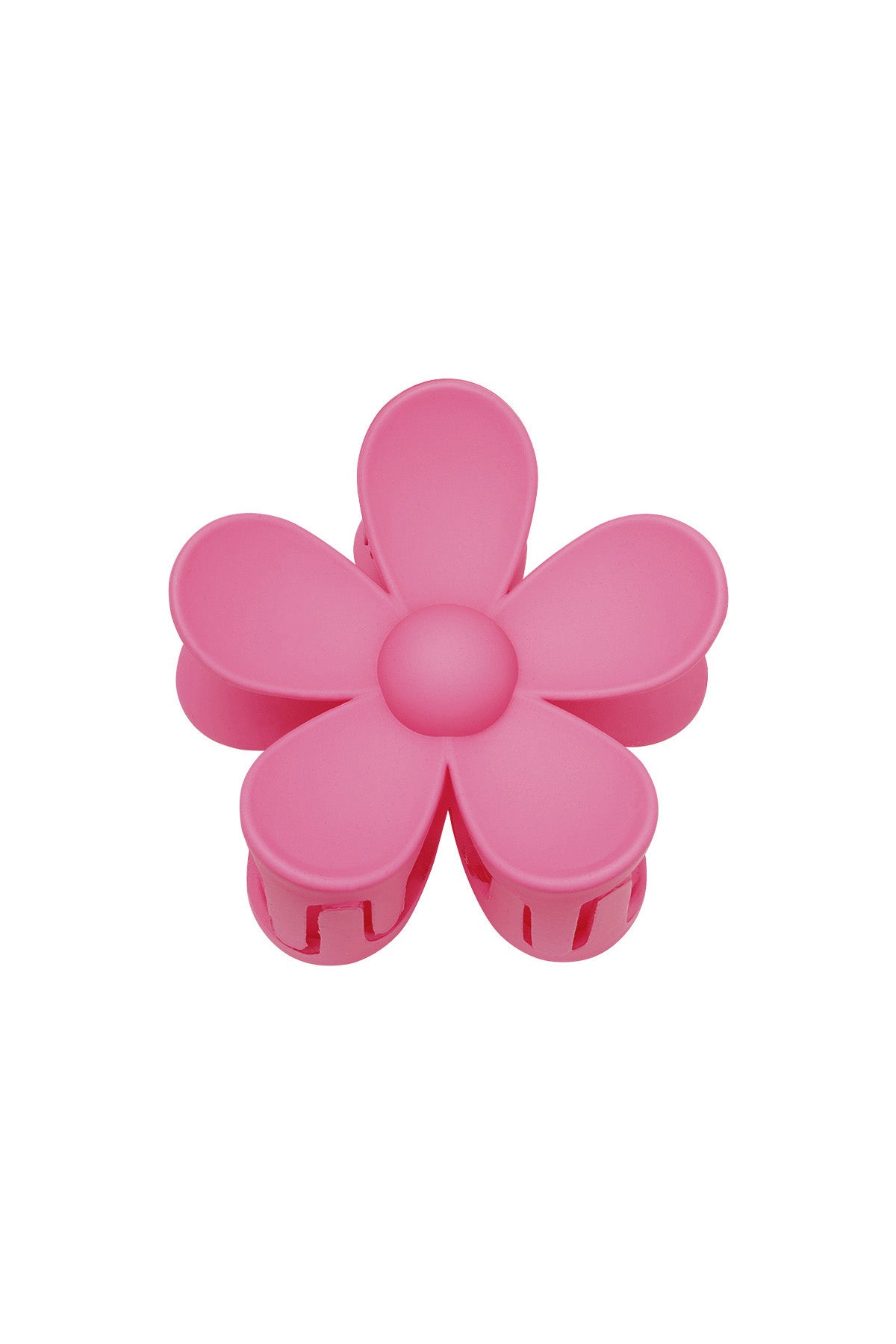 Pince Marguerite fuchsia