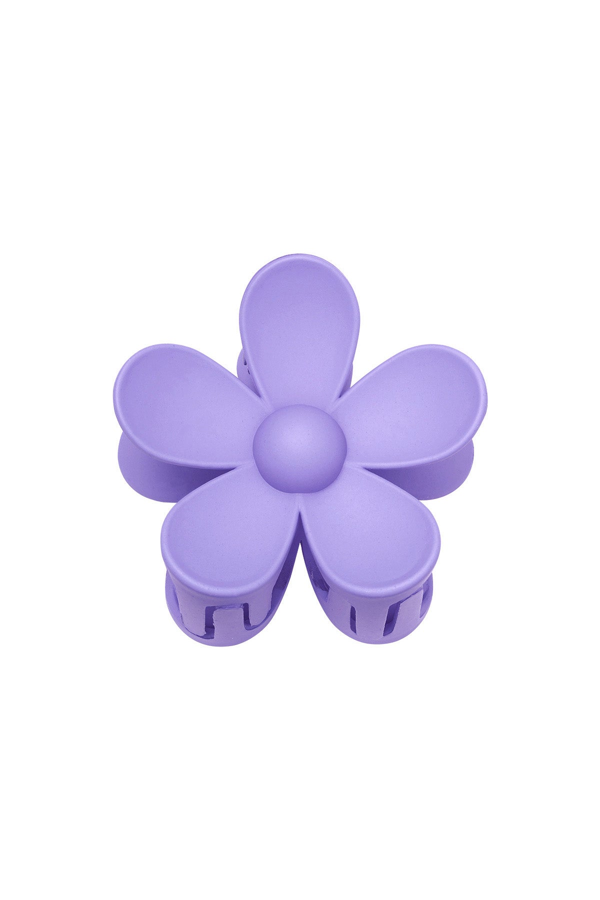 Pince Marguerite violet