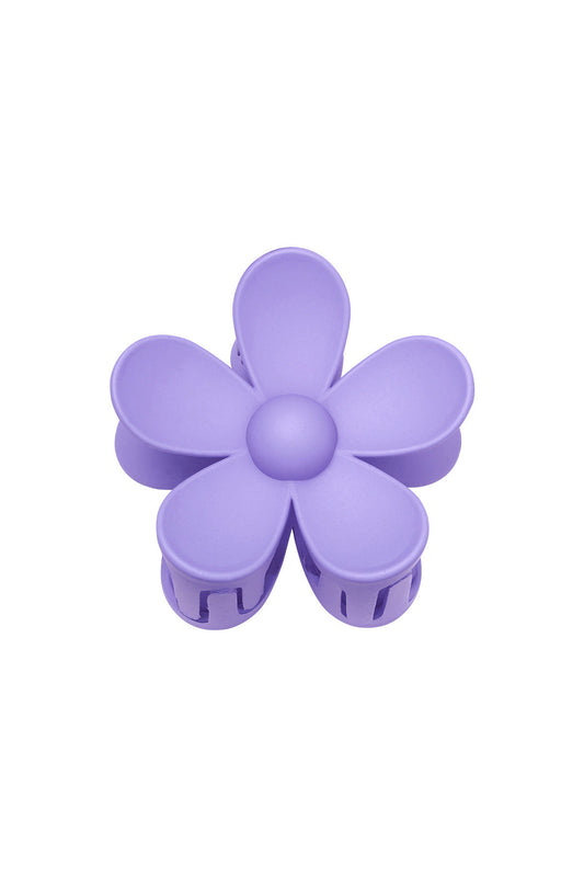 Pince Marguerite violet