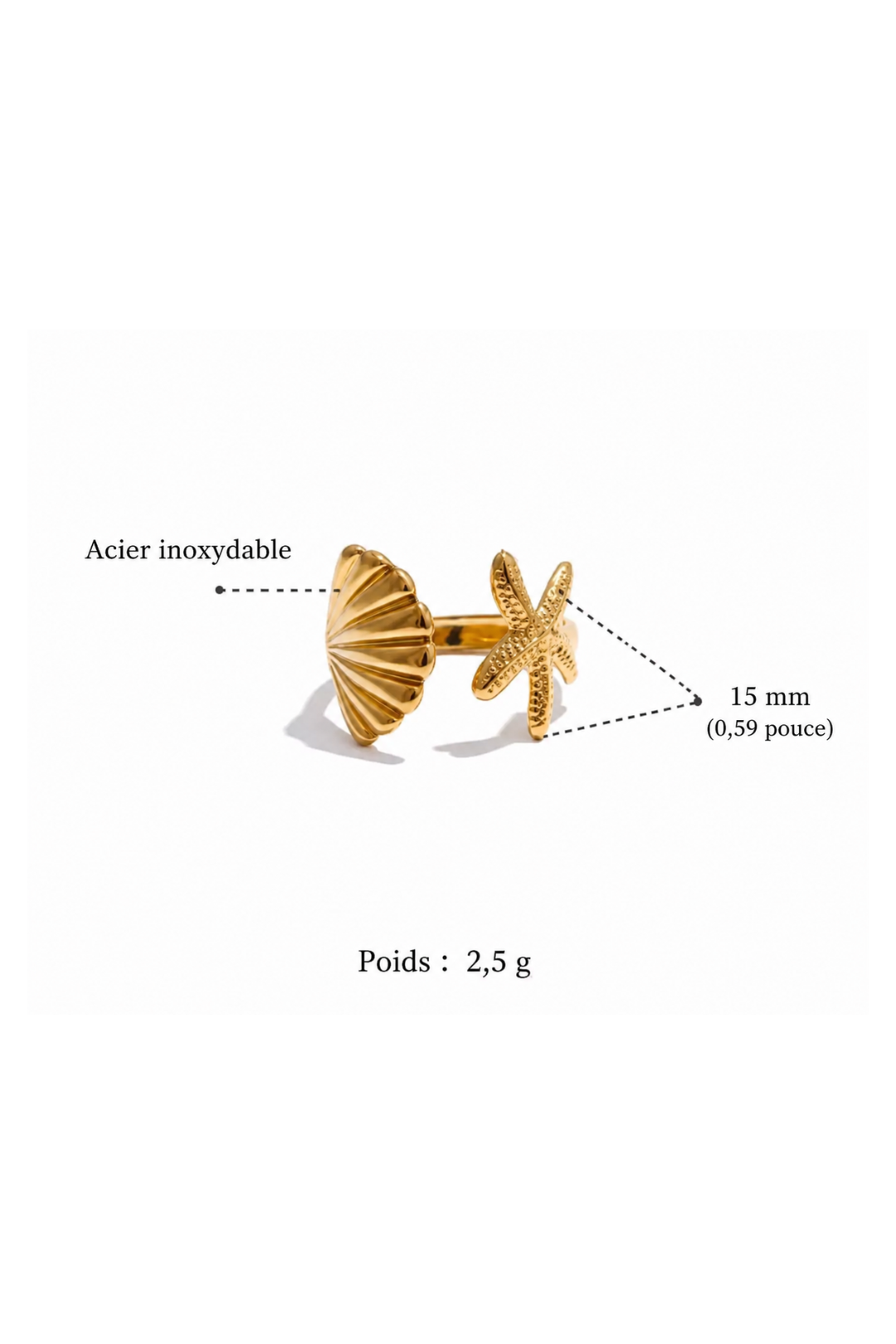 Gros plan texture nervurée coquille et étoile de mer bague acier inoxydable