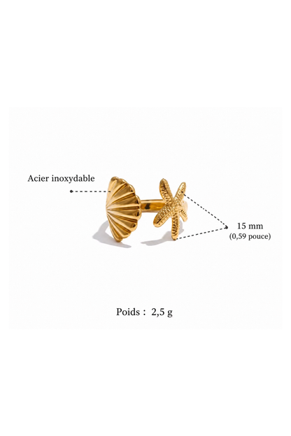 Gros plan texture nervurée coquille et étoile de mer bague acier inoxydable