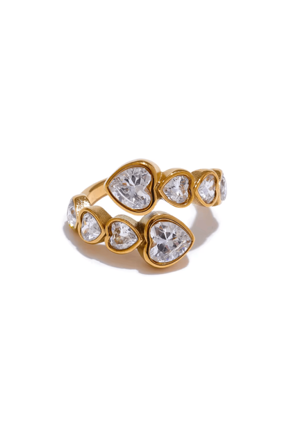 bague en acier inoxydable