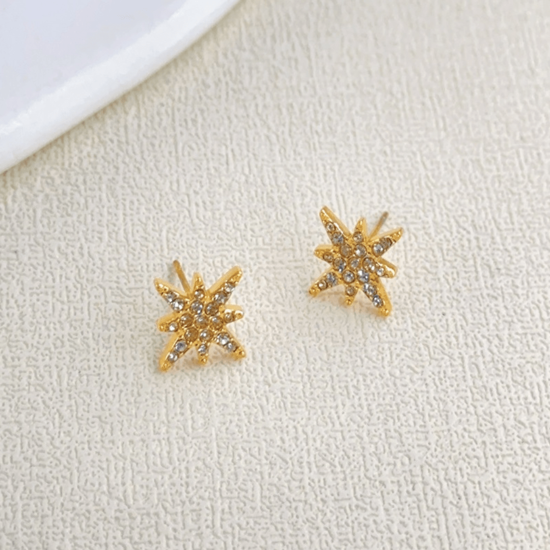 Détail boucles d'oreilles étoile polaire acier inoxydable